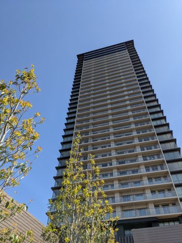 福岡市早良区西新の憩いの場
